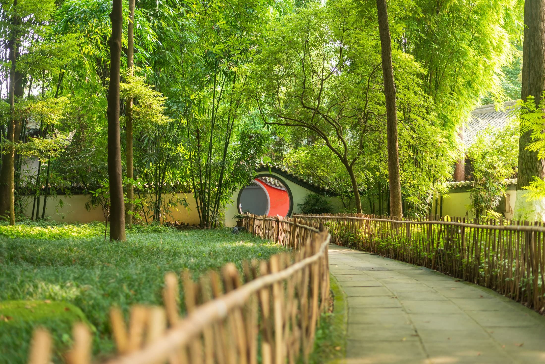 Chengdu gallery view 2