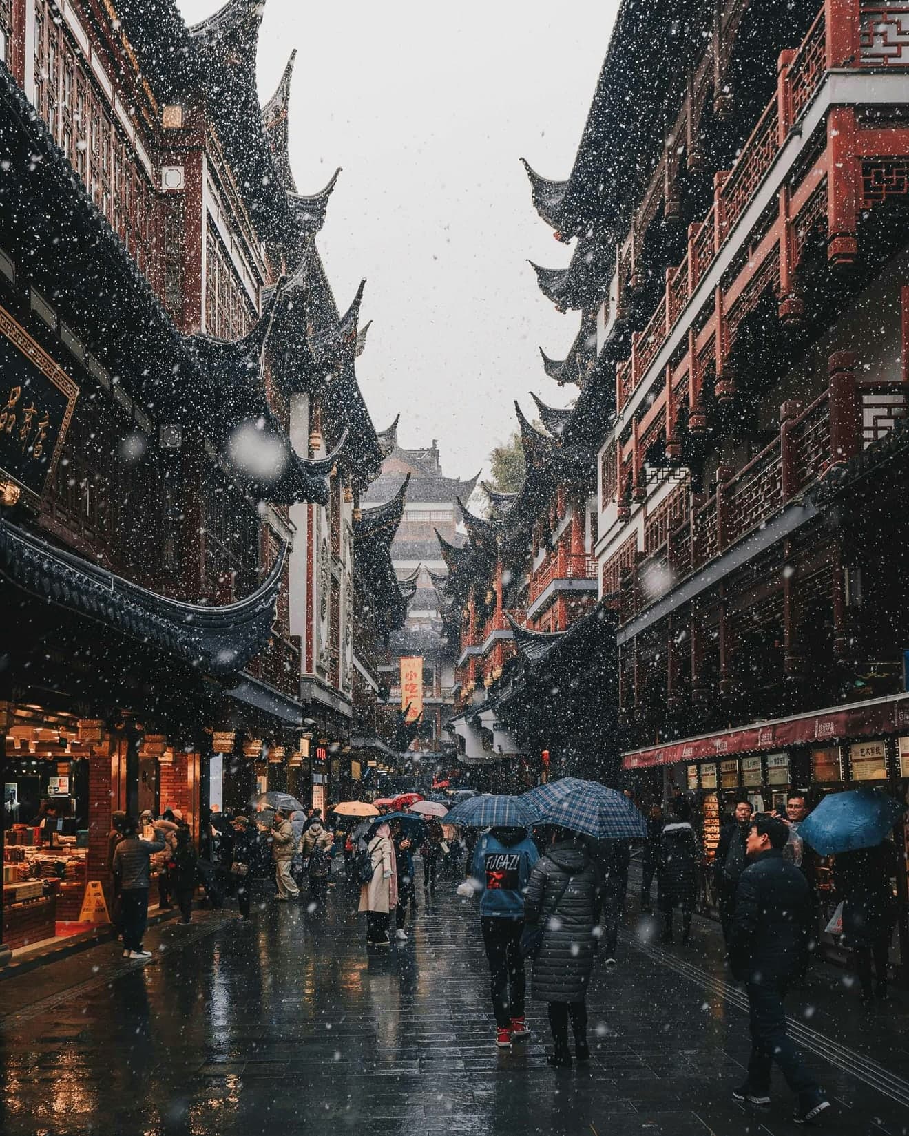 Shanghai gallery view 4