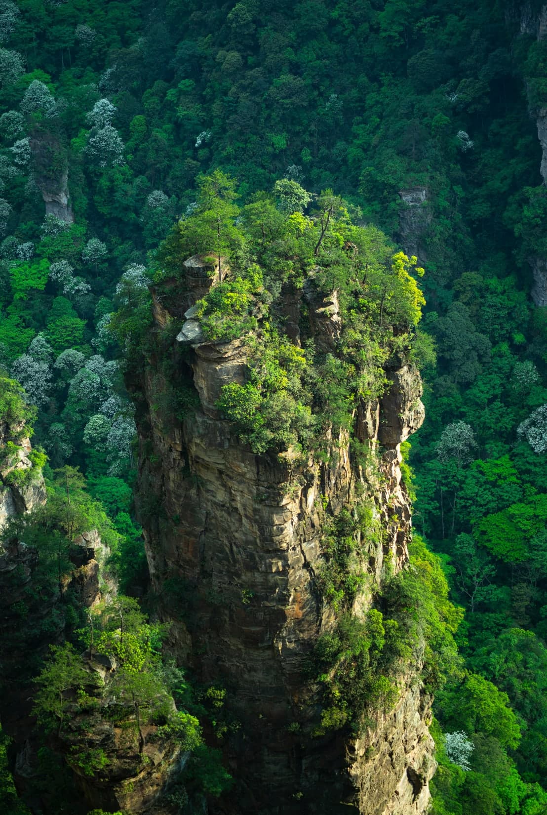 Zhangjiajie landscape
