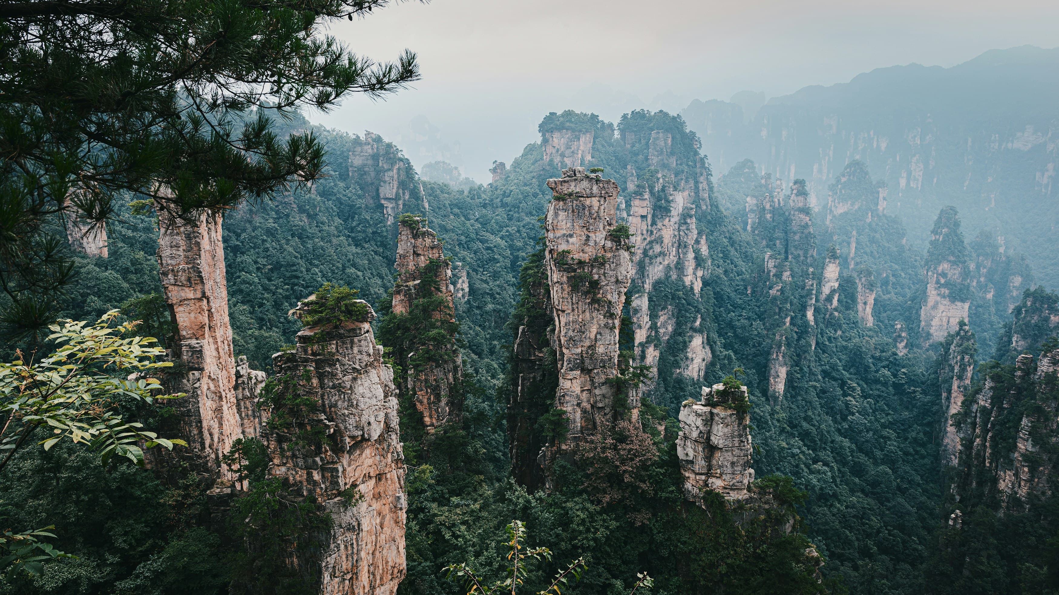 Mist-covered sandstone mountains in Zhangjiajie, China