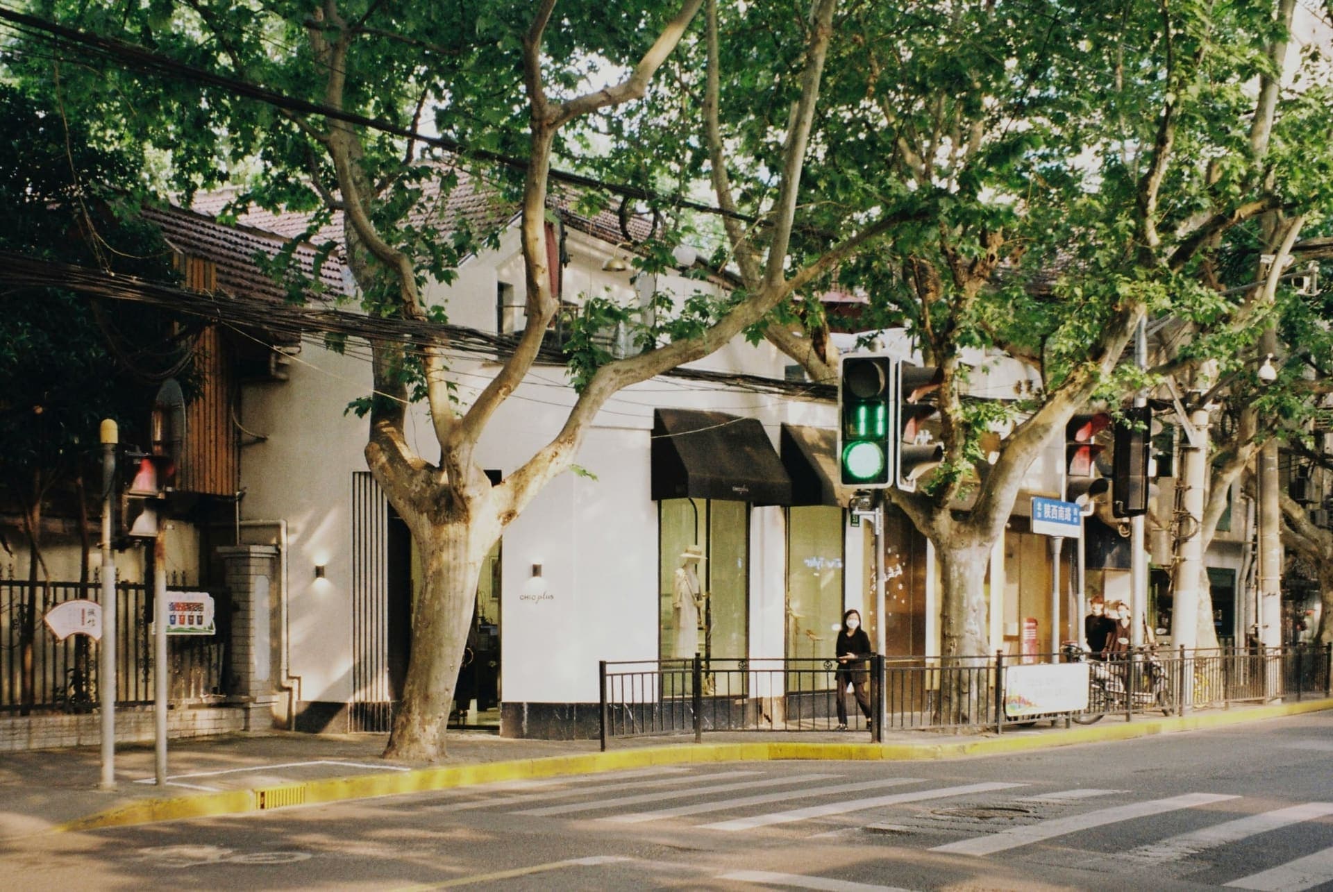 Tree-lined street in Shanghai, China